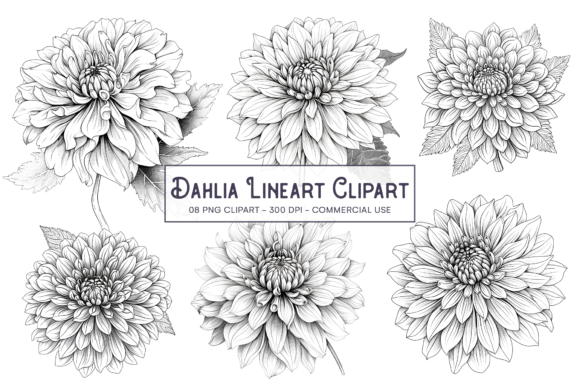 Download Dahlia Line Art Flower PNG Sublimation - Sublimation Collection