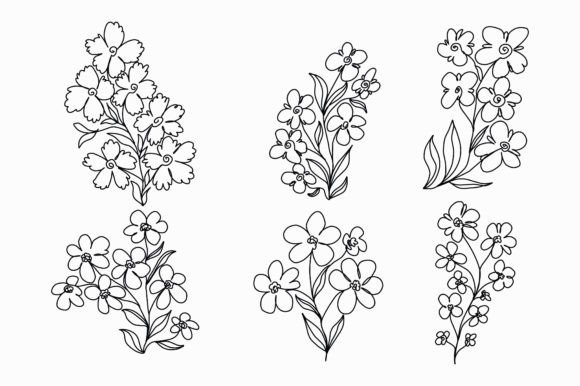 Download One-line Flower Illustration Bundle - Illustration Collection